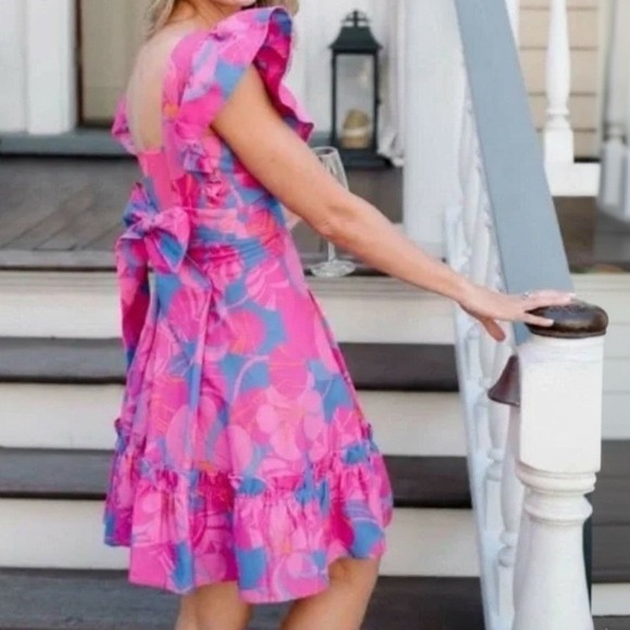 Tuckernuck x Cameran Eubanks Wimberly Floral Edisto Fit & Flare Dress Small NEW - Picture 3 of 15